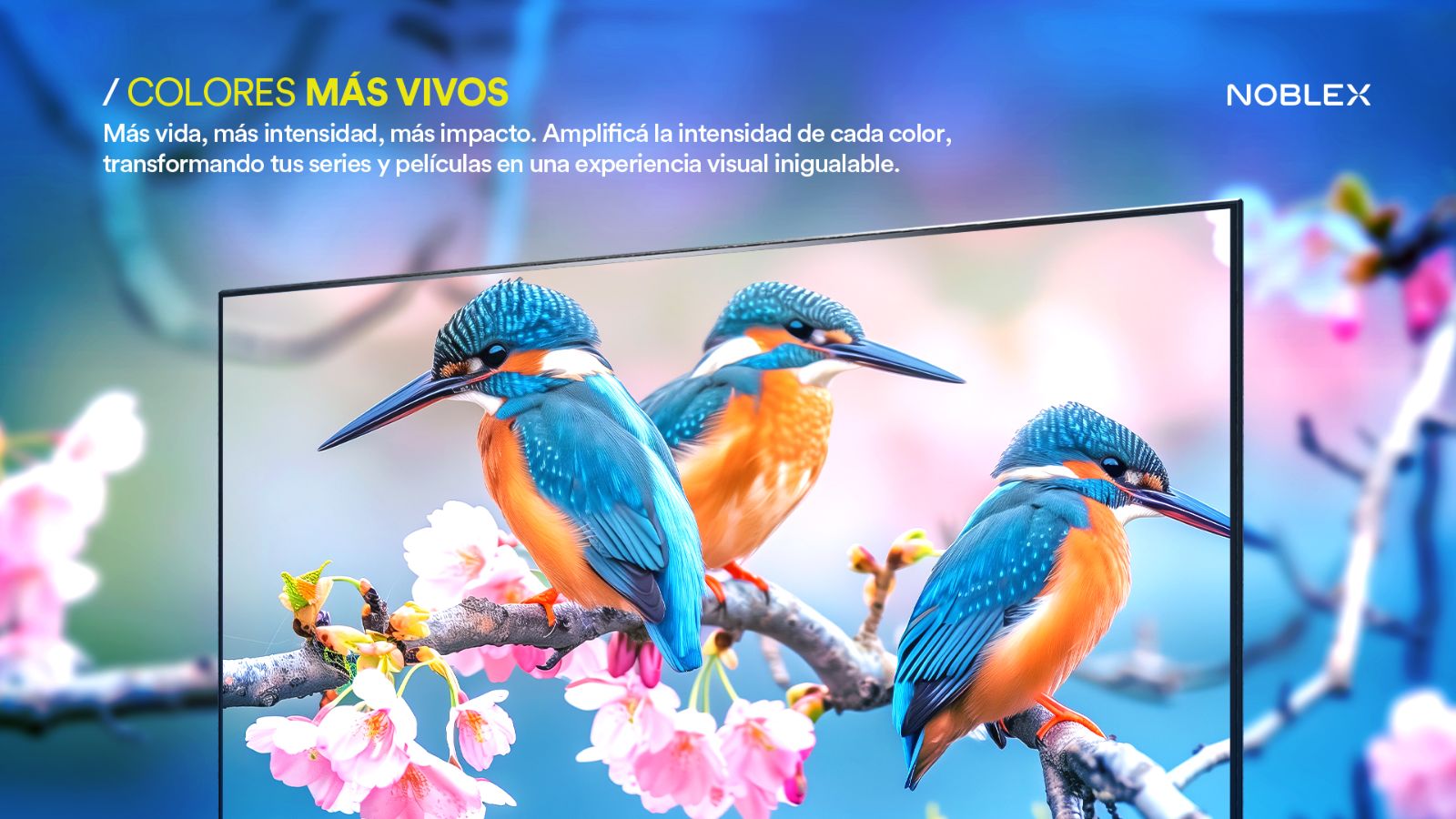 Imagen 10