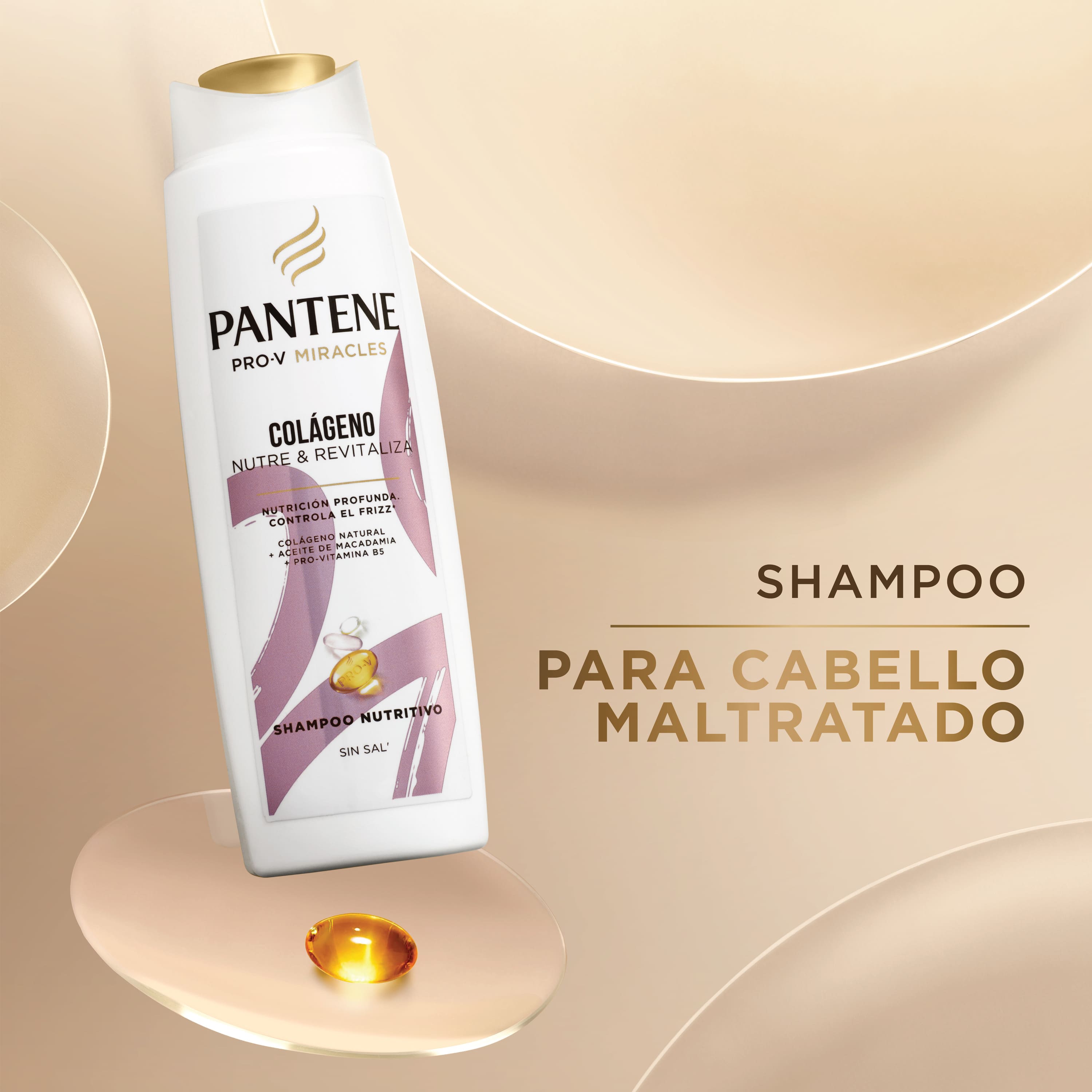 Shampoo Colágeno Nutre y Revitaliza - 2